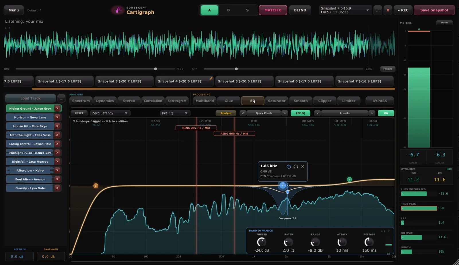 Cartigraph EQ and analysis view with resonance detection flags on ringing frequencies